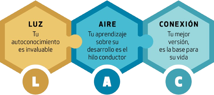 Mi metodología